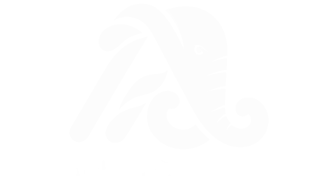 Ingénierie de croissance : Audiovisuel, SaaS & B2B | Alabao